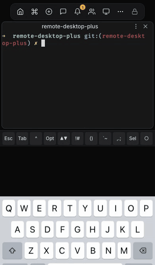 Typing in a terminal on a phone using taiku's touch keyboard bar for Escape, Ctrl, and symbols