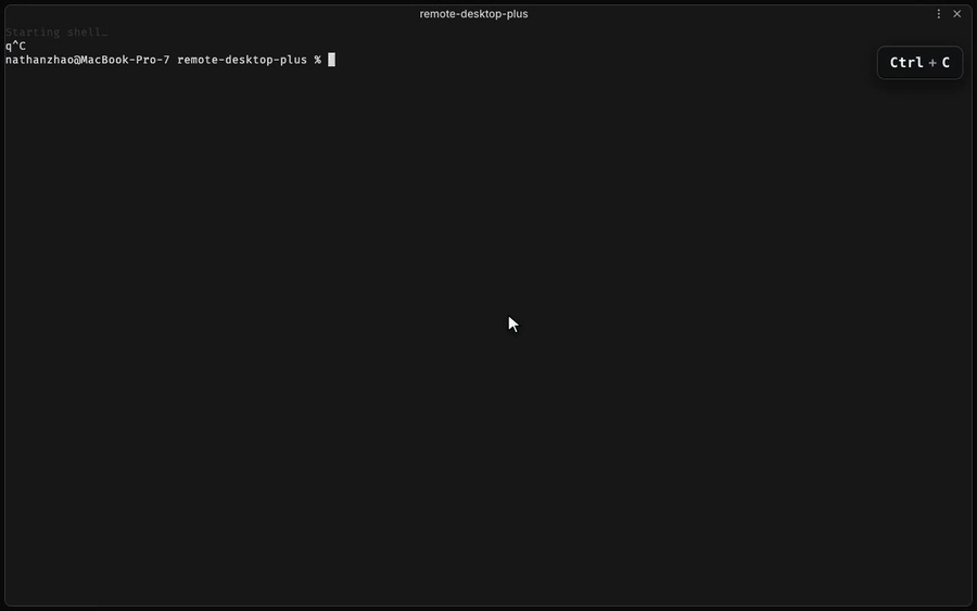 Opening the inline git-diff viewer showing changed files and their hunks